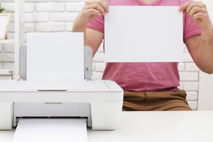 Best Large Format Printers